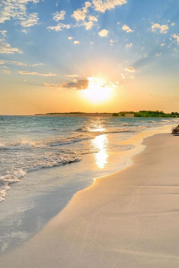 Amazing 5 Minute Walk To The Beach! Apartment Miami Beach